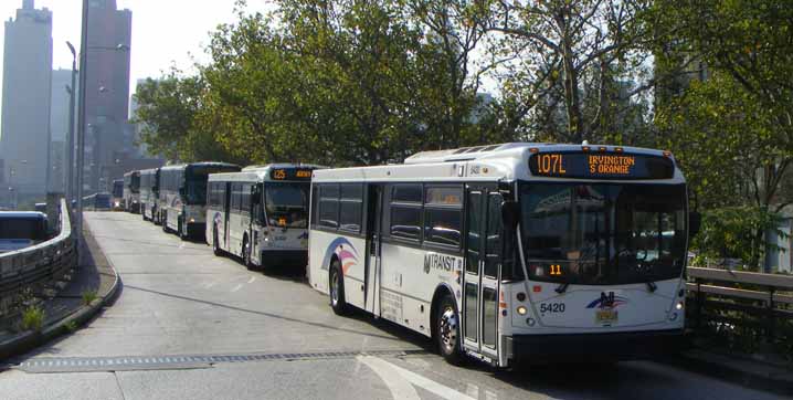 NJ Transit NABI 416 5420 & 5302